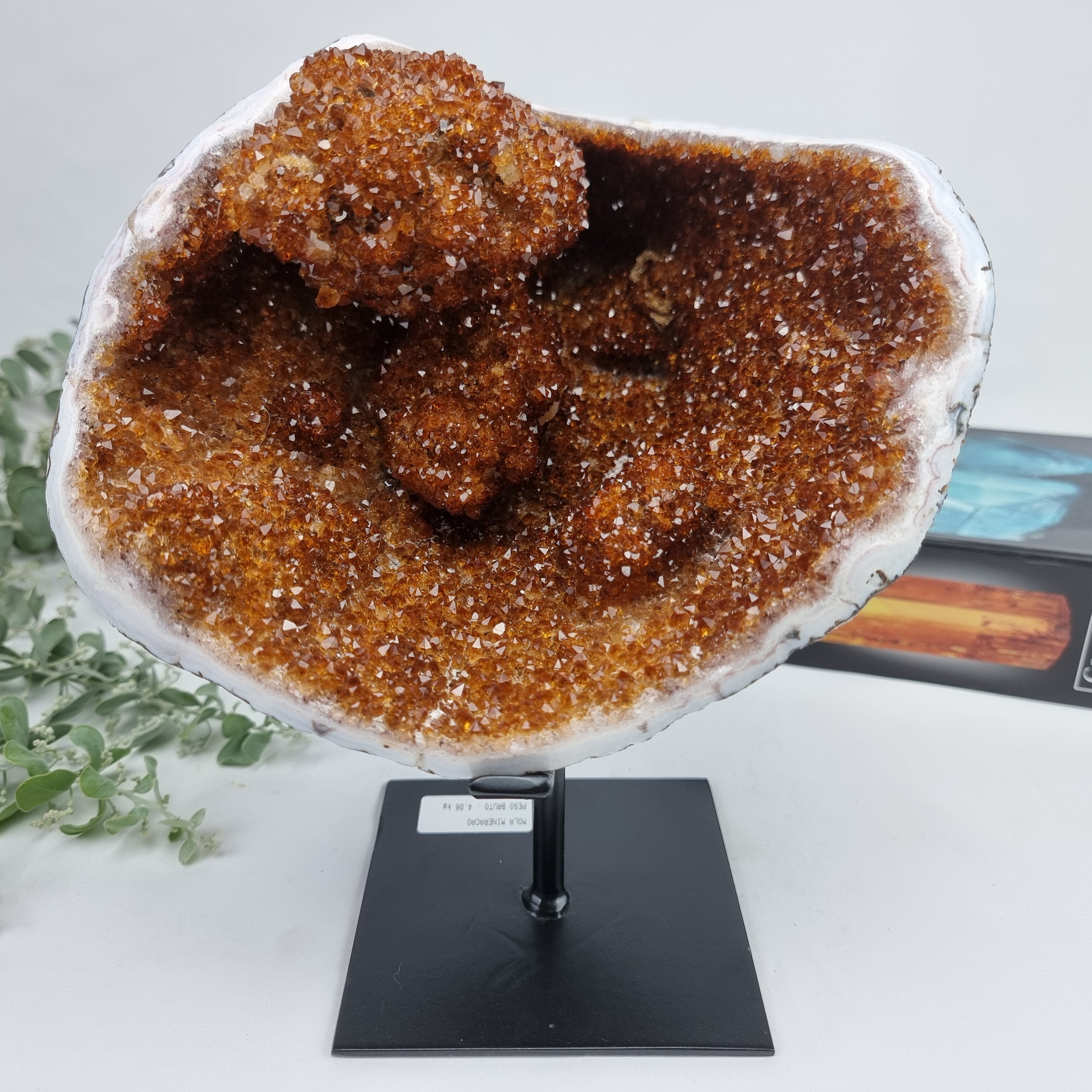 CITRINO Exótico Super Especial | Base de Ferro Preta | Peso 4,06 Kgs, Altura de 25 cm | Peça Artesanal BR Crystals