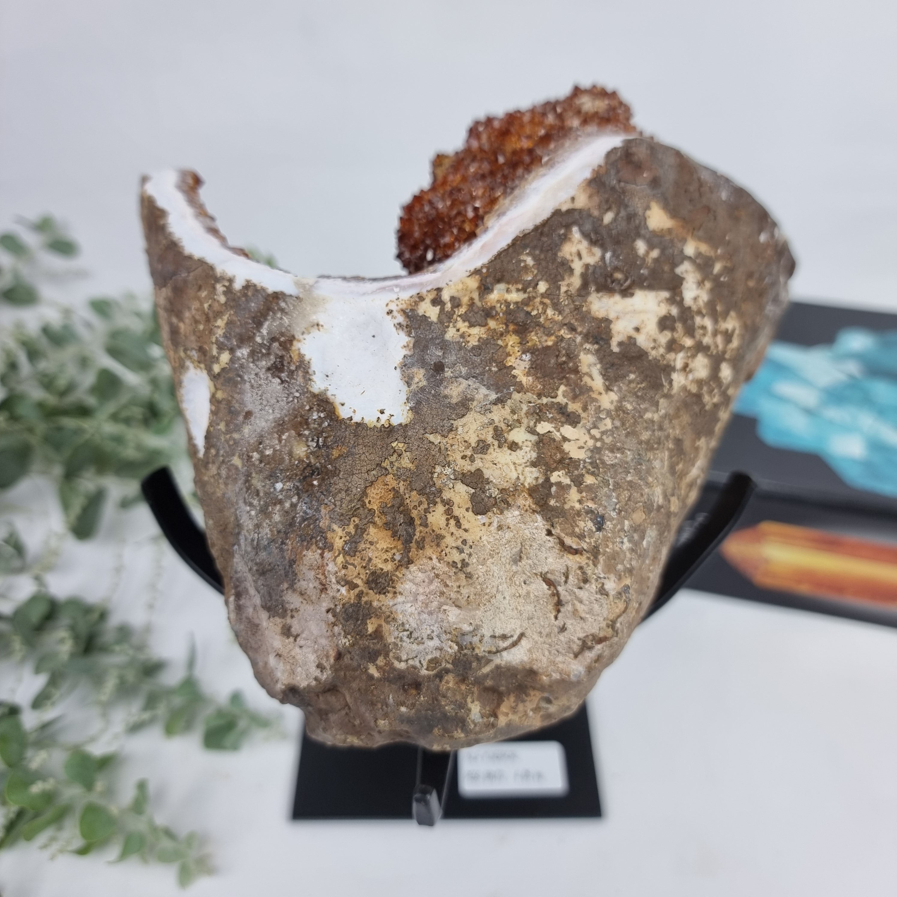 CITRINO Exótico Super Especial | Base de Ferro Preta | Peso 4,06 Kgs, Altura de 25 cm | Peça Artesanal BR Crystals