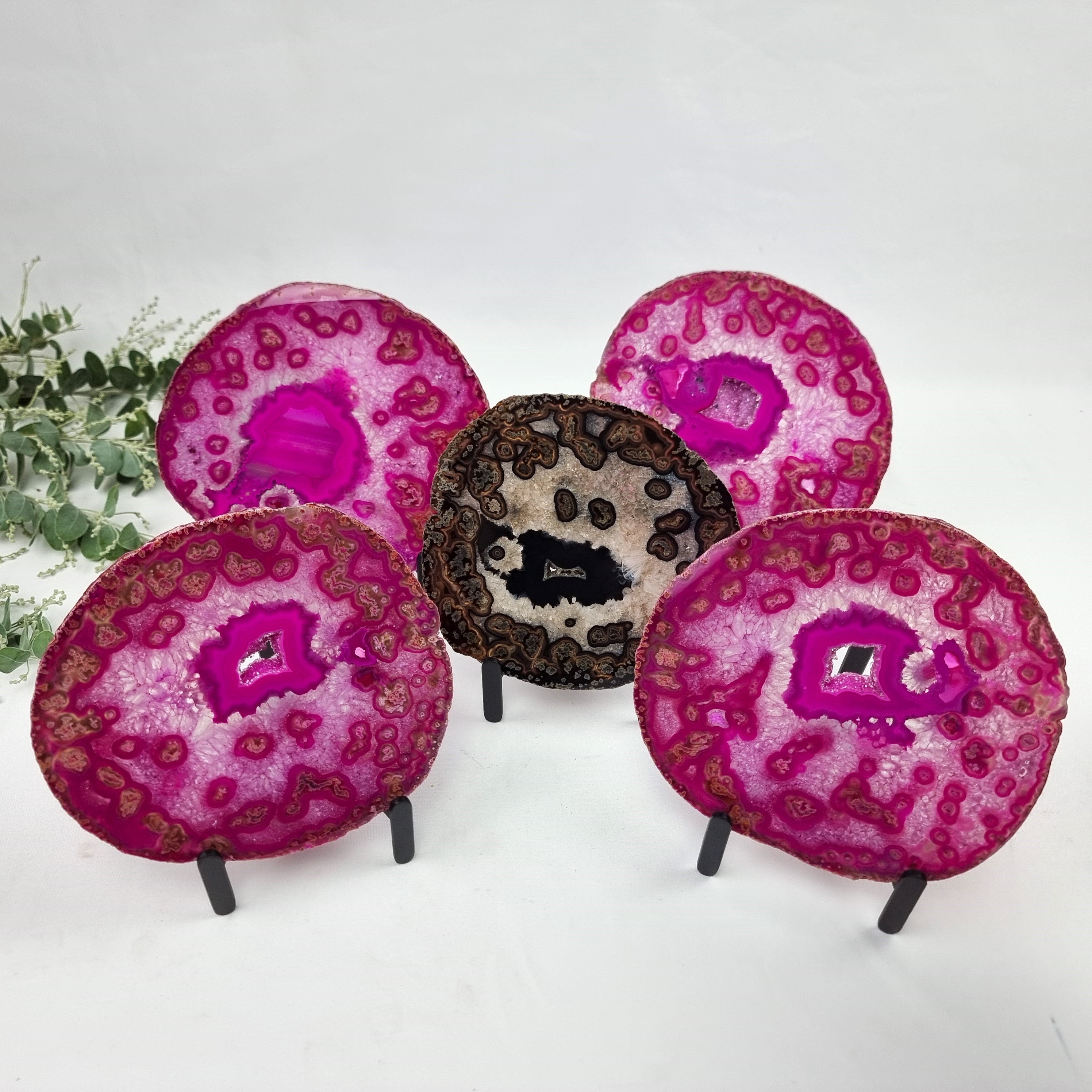Chapas de Àgatas Rosa SUPER "SPECIAL" | Base de Ferro Preta | 5 Unidades | Peça Artesanal BR Crystals