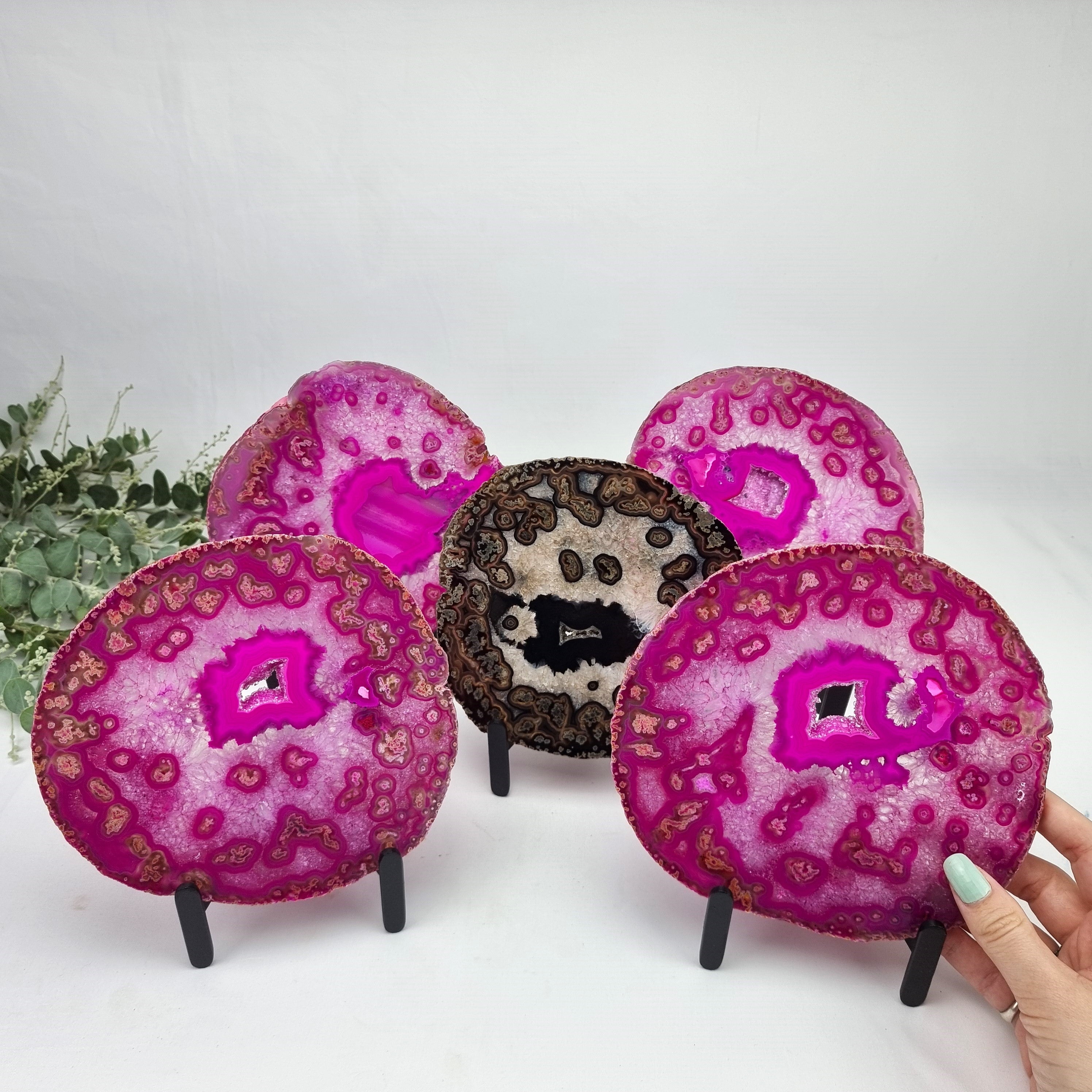 Chapas de Àgatas Rosa SUPER "SPECIAL" | Base de Ferro Preta | 5 Unidades | Peça Artesanal BR Crystals