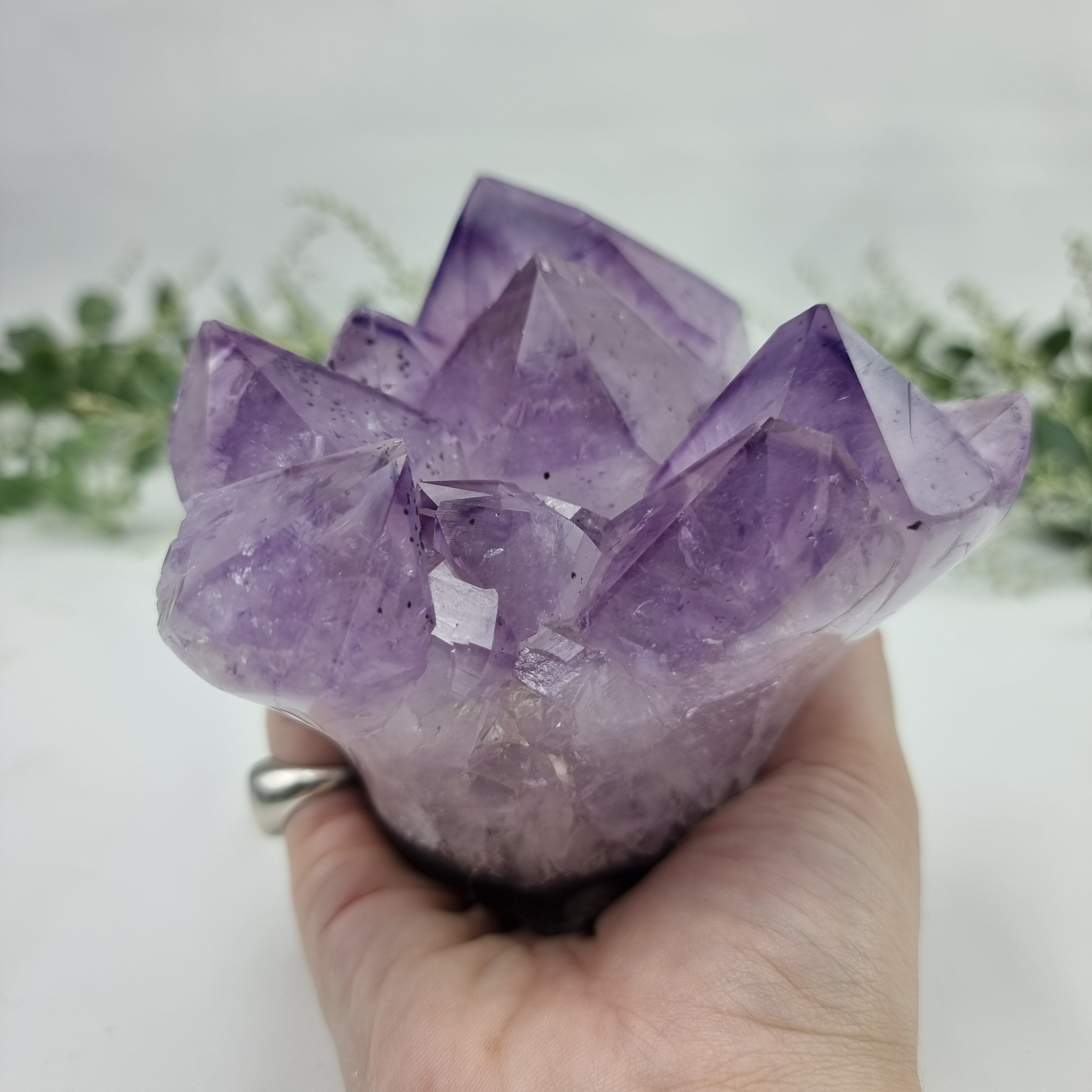 Flor de Ametista Natural | 1,40 Kgs, 12 cm Altura | Energia, Beleza e Sofisticação