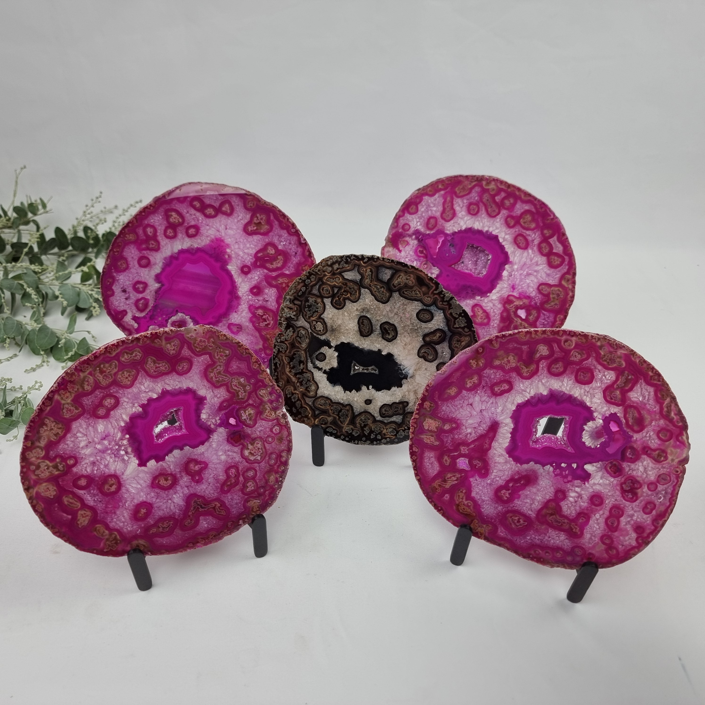 Chapas de Àgatas Rosa SUPER "SPECIAL" | Base de Ferro Preta | 5 Unidades | Peça Artesanal BR Crystals