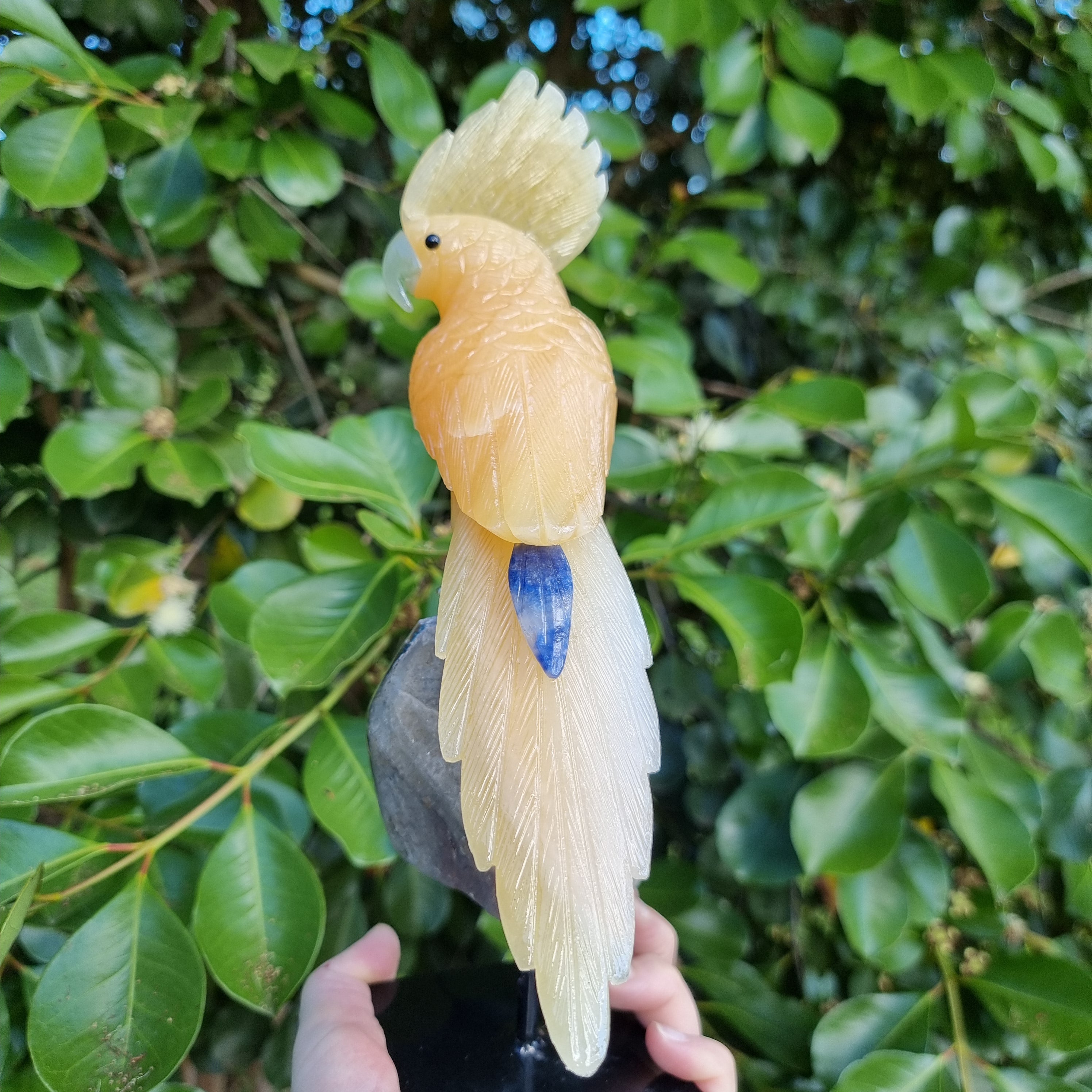 Pássaro de CALCITA Natural Especial | Peso 1,06 Kgs, Altura 28 cm | Exclusivo, Energia e Beleza